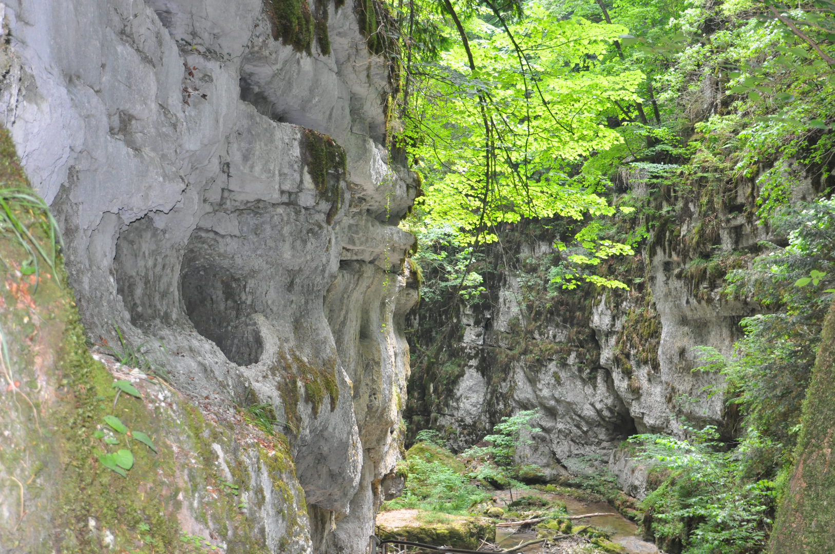 DSC_0080 Twannschlucht