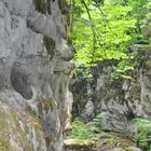 DSC_0080 Twannschlucht