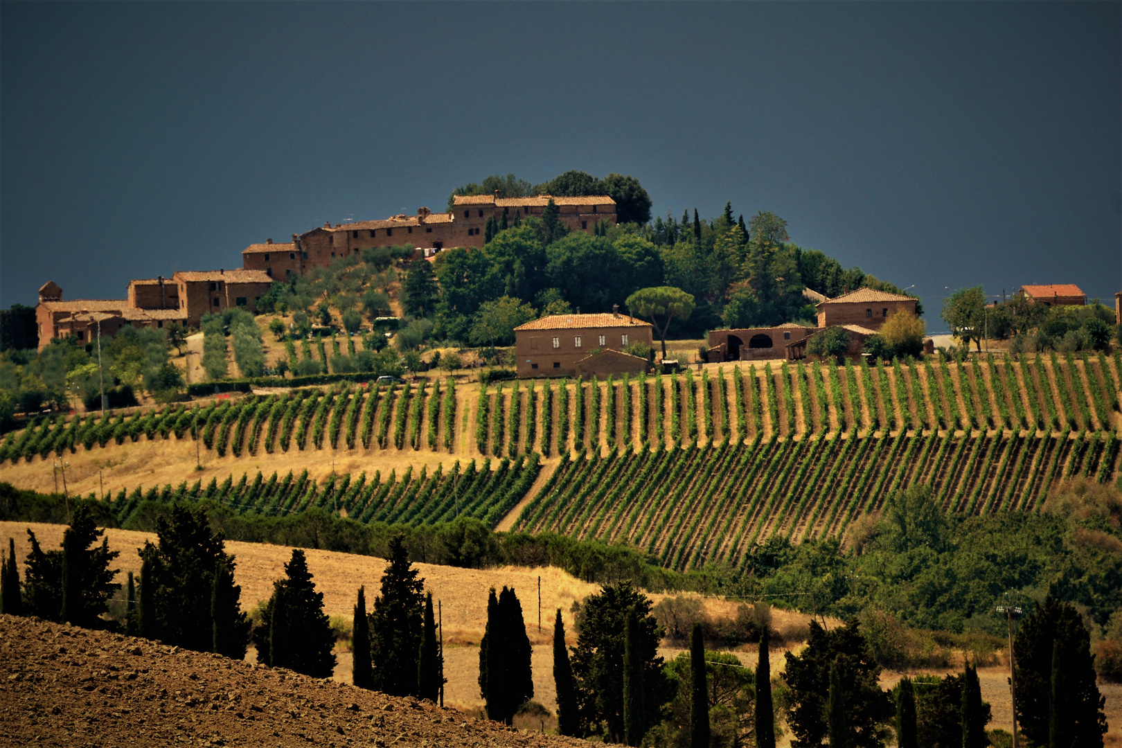 DSC_0103 Toscana