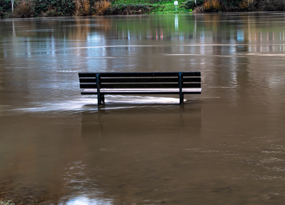 DSC_0104-2 Bank im Wasser