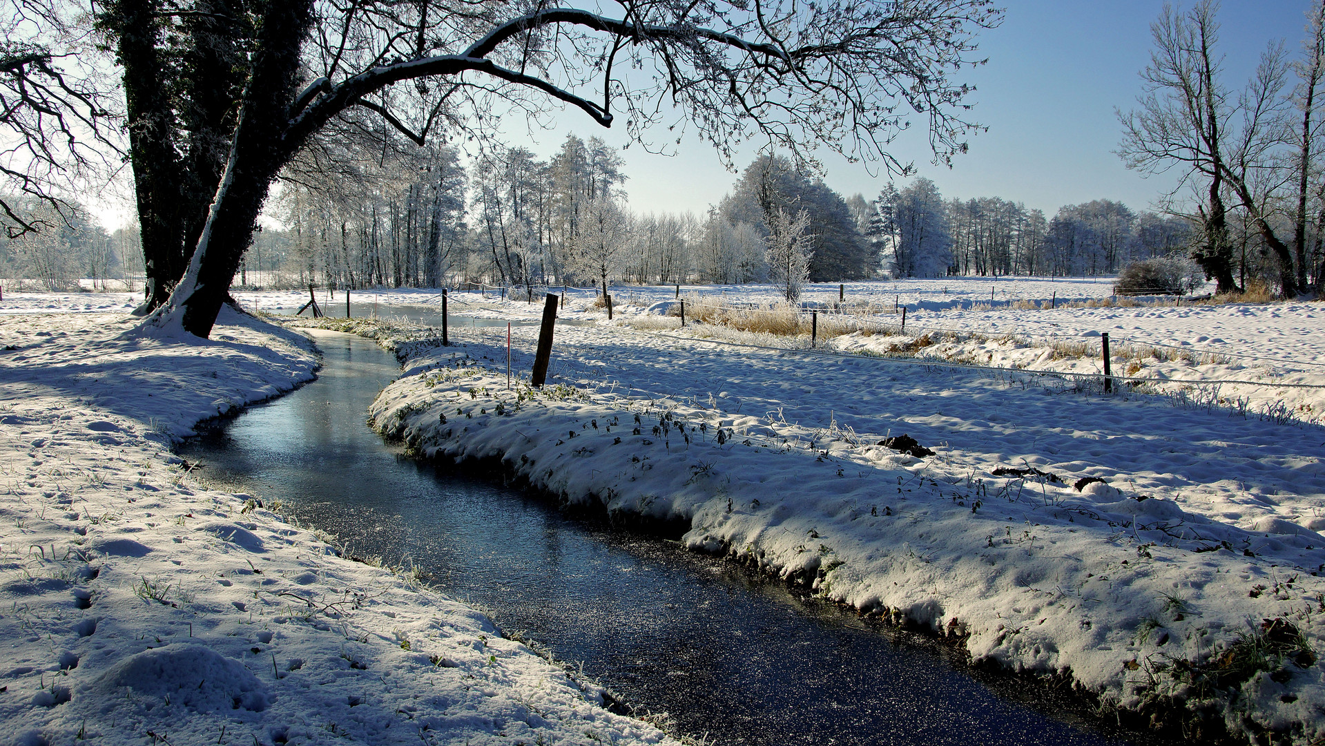 DSC01329-2-web Winter im Schlosspark