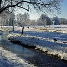 DSC01329-2-web Winter im Schlosspark