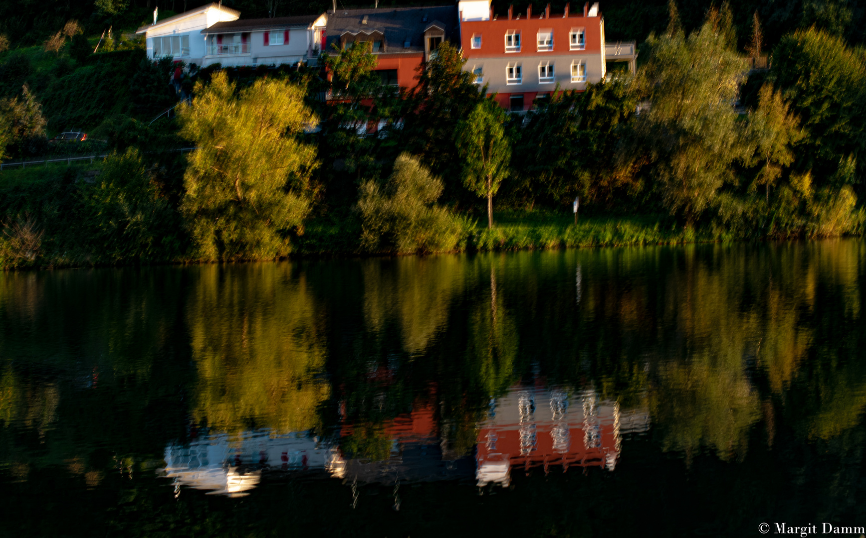 DSC_0183 Spiegelung im Wasser