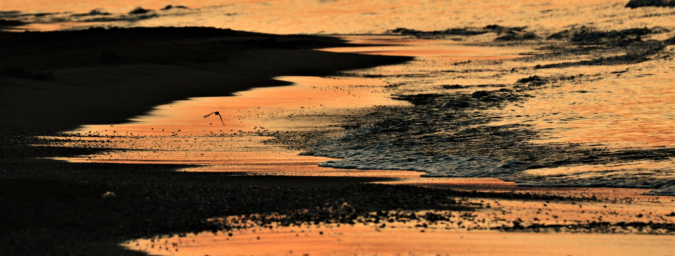 DSC_0184 Strand und Meer 1