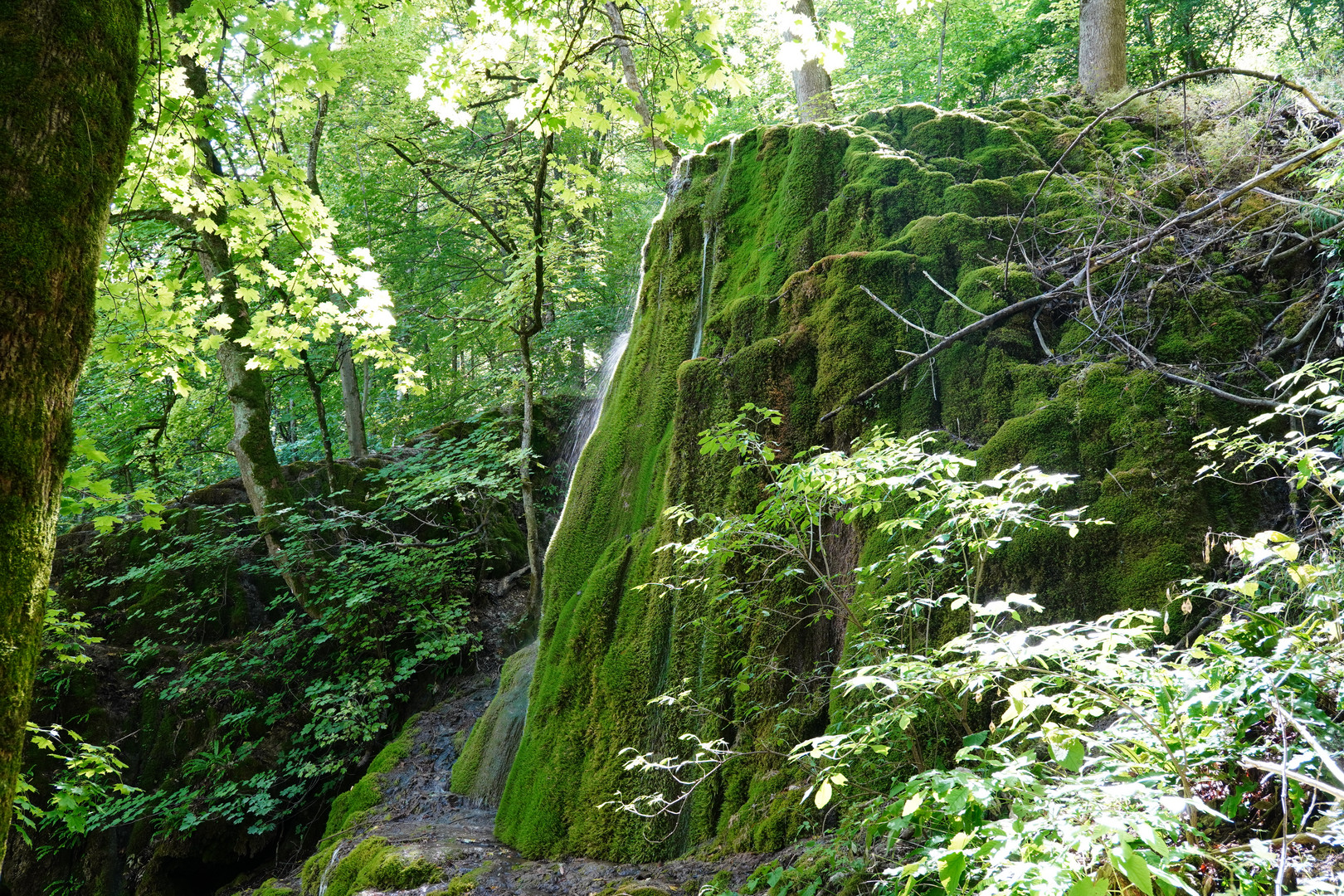 DSC02031 Wasserfall Urach