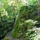 DSC02031 Wasserfall Urach