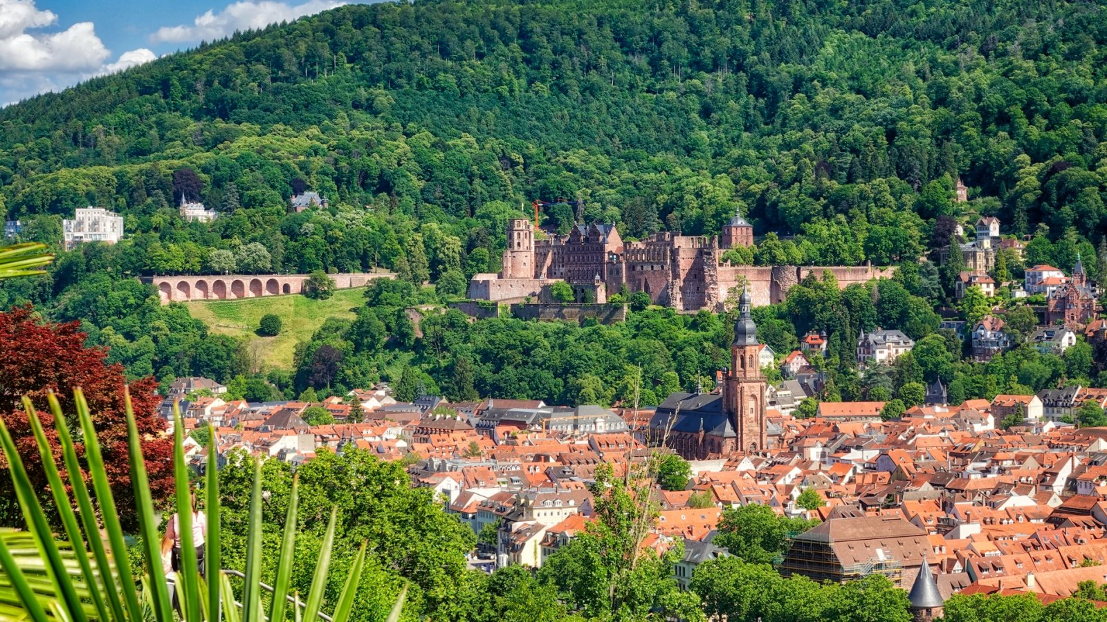 DSC02123hdr x - Heidelberg