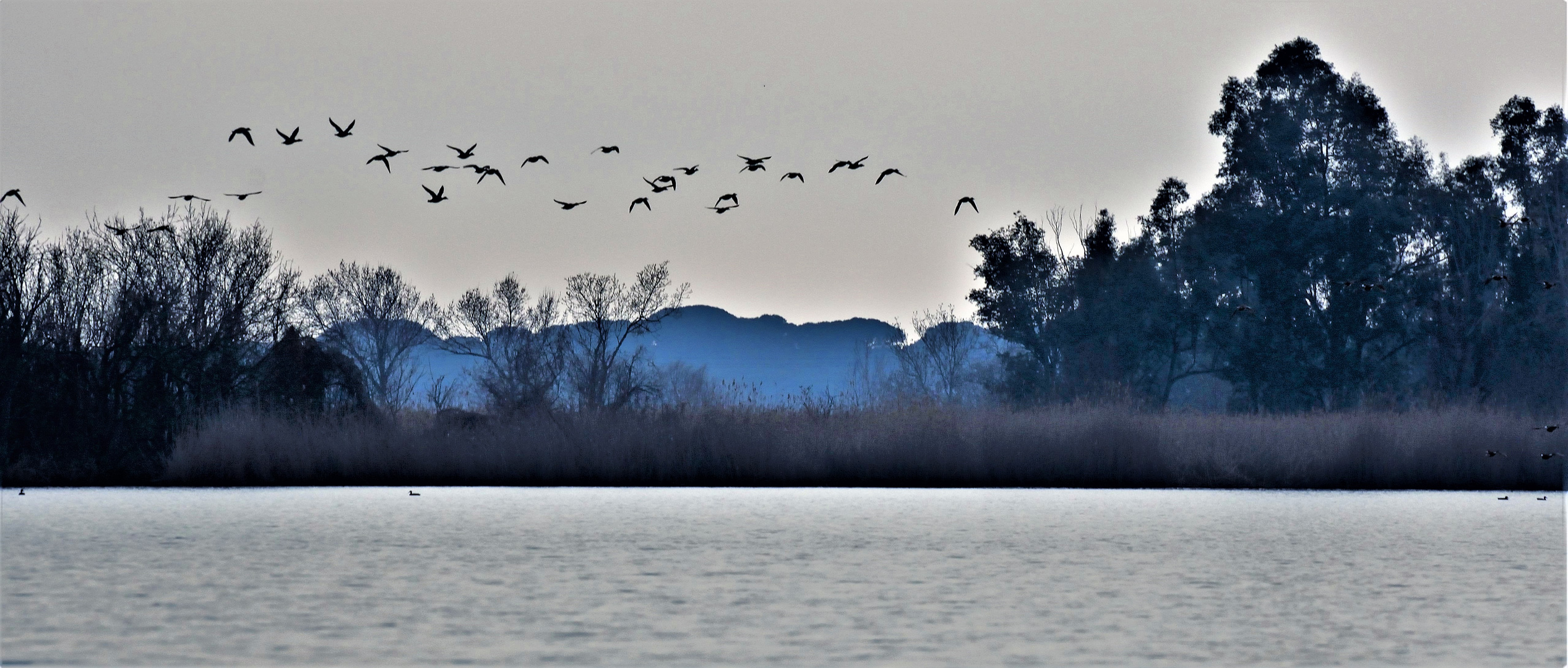 DSC_0253  Tramonto sul lago