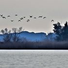 DSC_0253  Tramonto sul lago