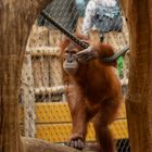 _DSC0255  -   Publikum Liebling.  ZOO Dortmund.