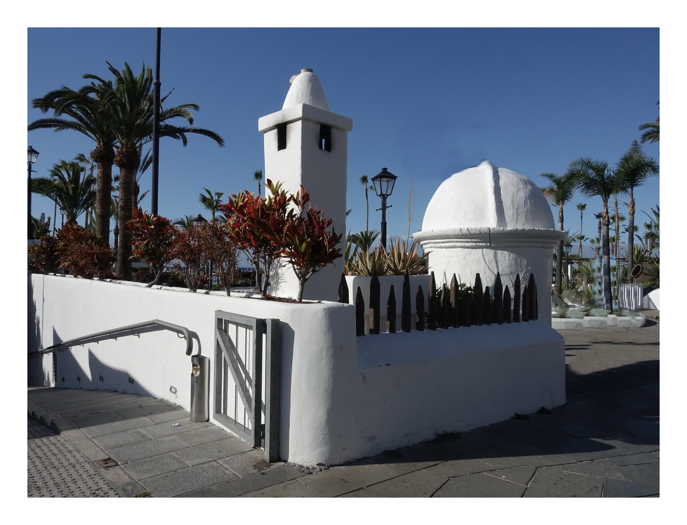 DSC02750 Puerto la Cruz /Tenerife