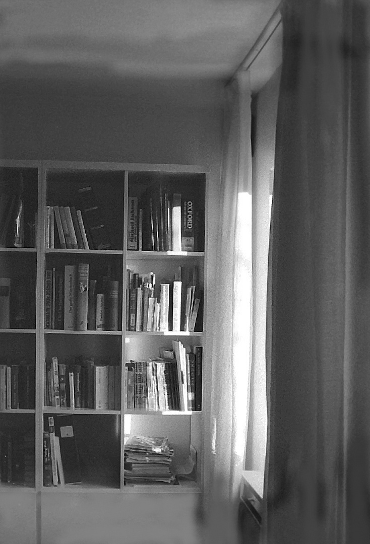 DSC02844Agfa APX 400