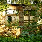 DSC02872 (2)-Gv Ruine Gutsverwalterhaus