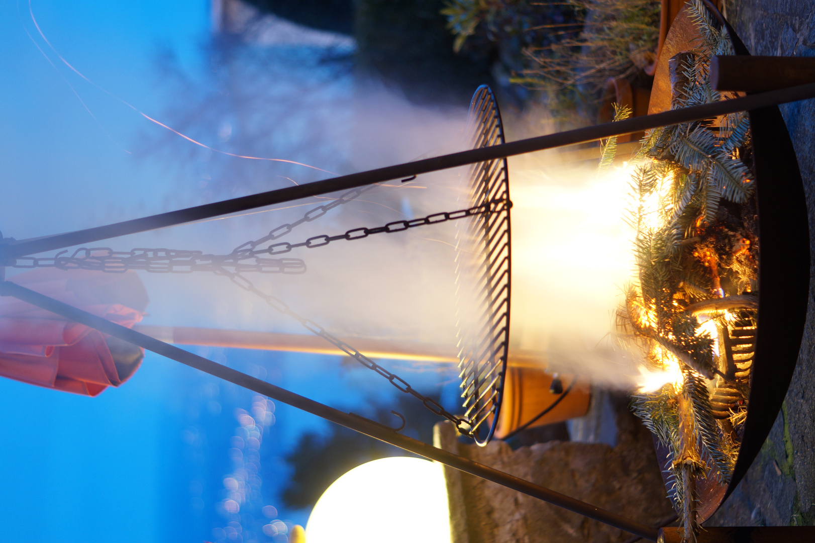 DSC02892 Foto & Bild | archiv projekte naturchannel, monatswettbewerbe