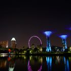 DSC03096 Singapur bei Nacht