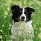 DSC03369_Web