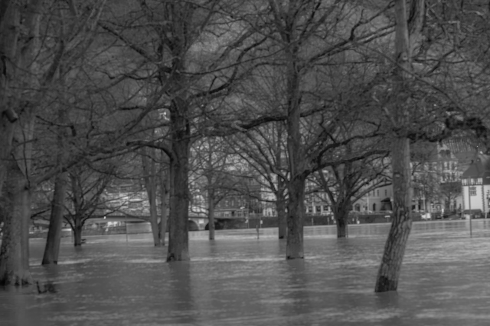 DSC_0418 Hochwasser 2