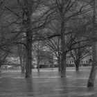 DSC_0418 Hochwasser 2