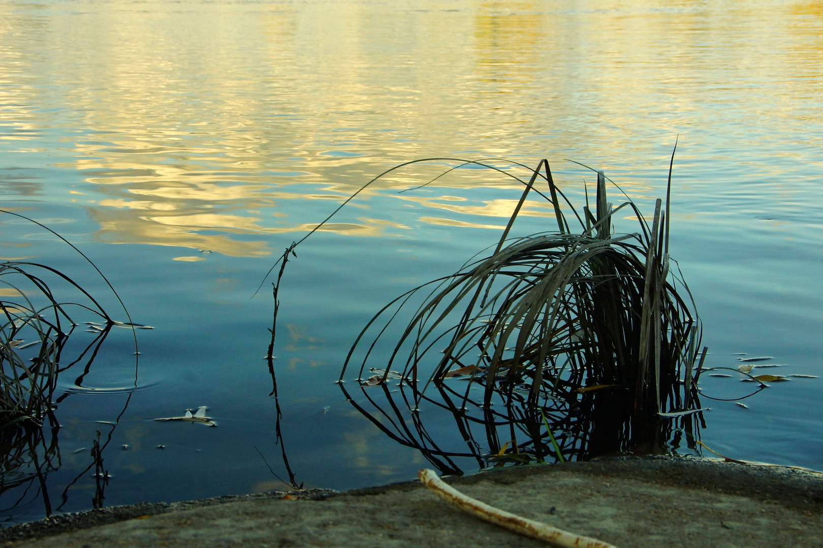 DSC04803-2-web Wassergeist an der Elbe