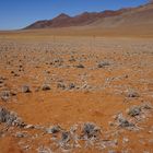 DSC0499Das Mysterium der Feenkreise in der NamibWüste