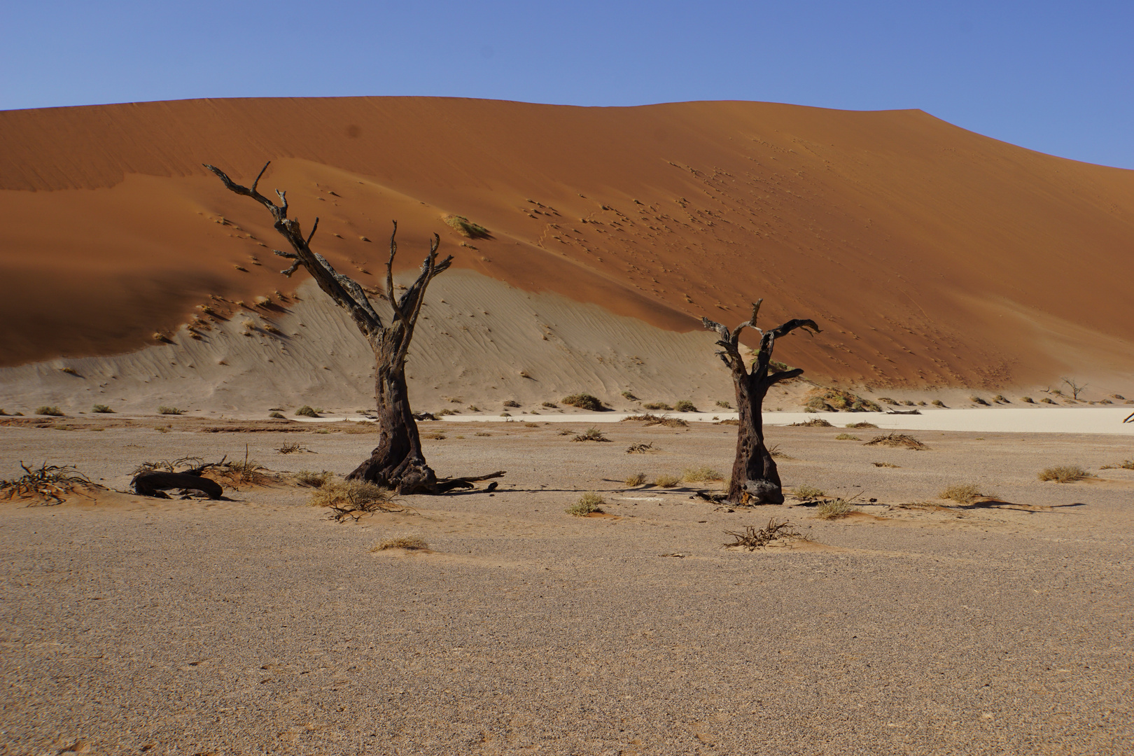 DSC05212Hidden Vlei in Sossusvlei