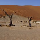 DSC05212Hidden Vlei in Sossusvlei