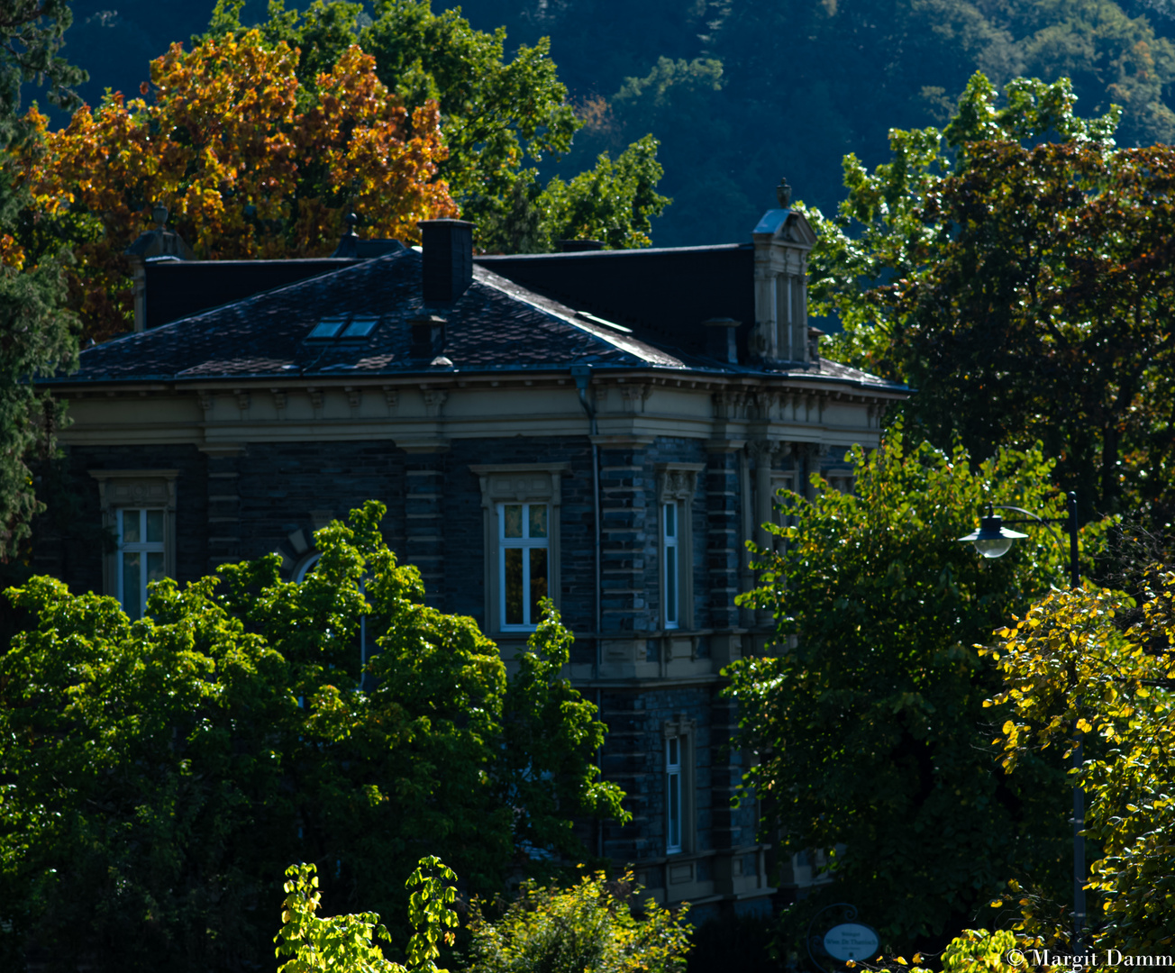 DSC_0546 Herbstbild