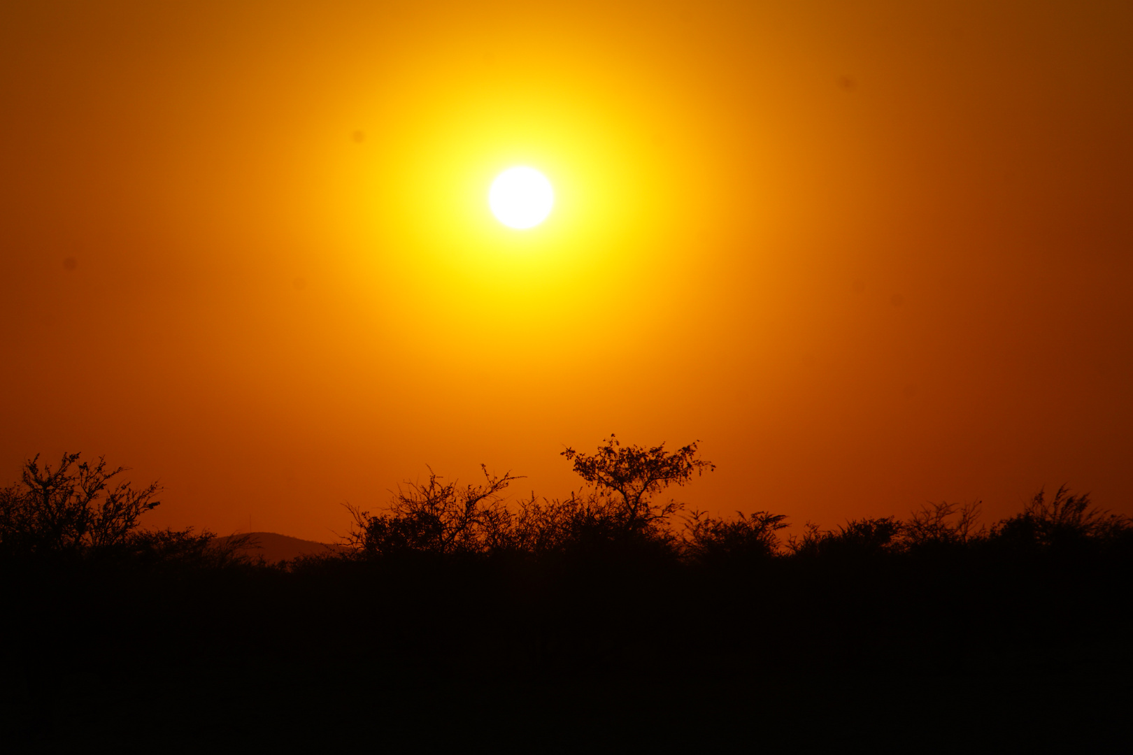 DSC06041Sundowner im Etosha