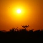 DSC06041Sundowner im Etosha