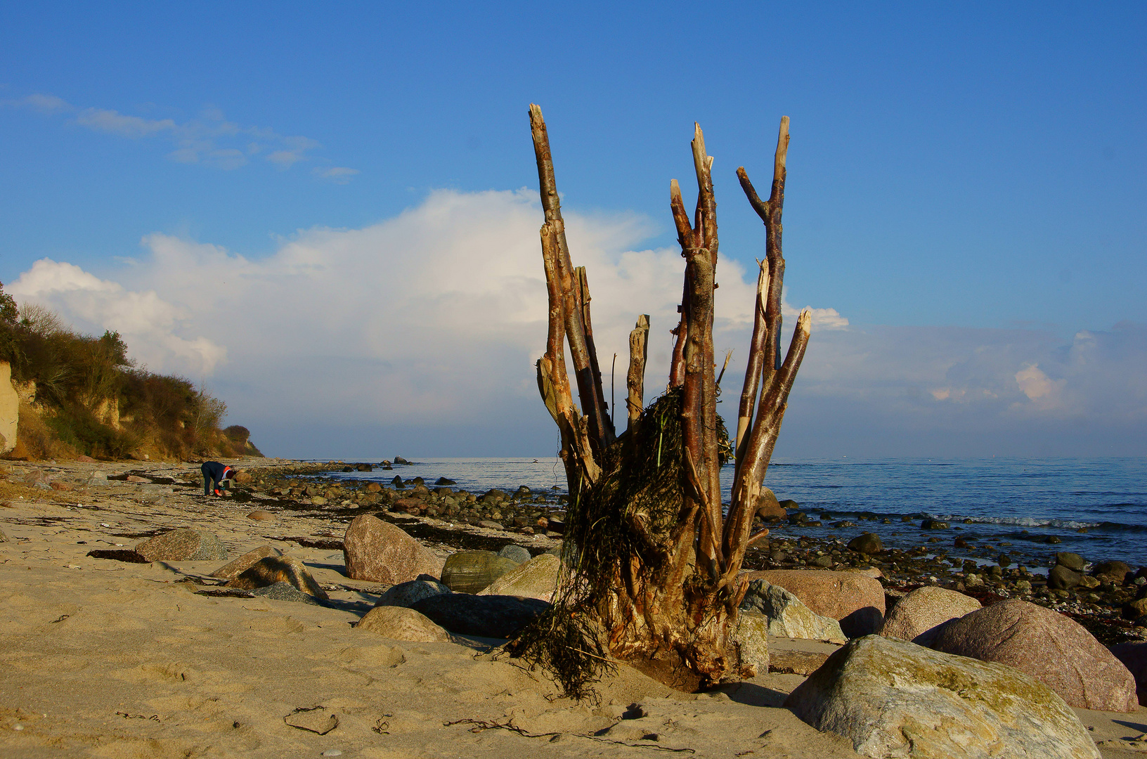 DSC06085-2-web Strandspaziergang im November bei Boltenhagen/Ostsee