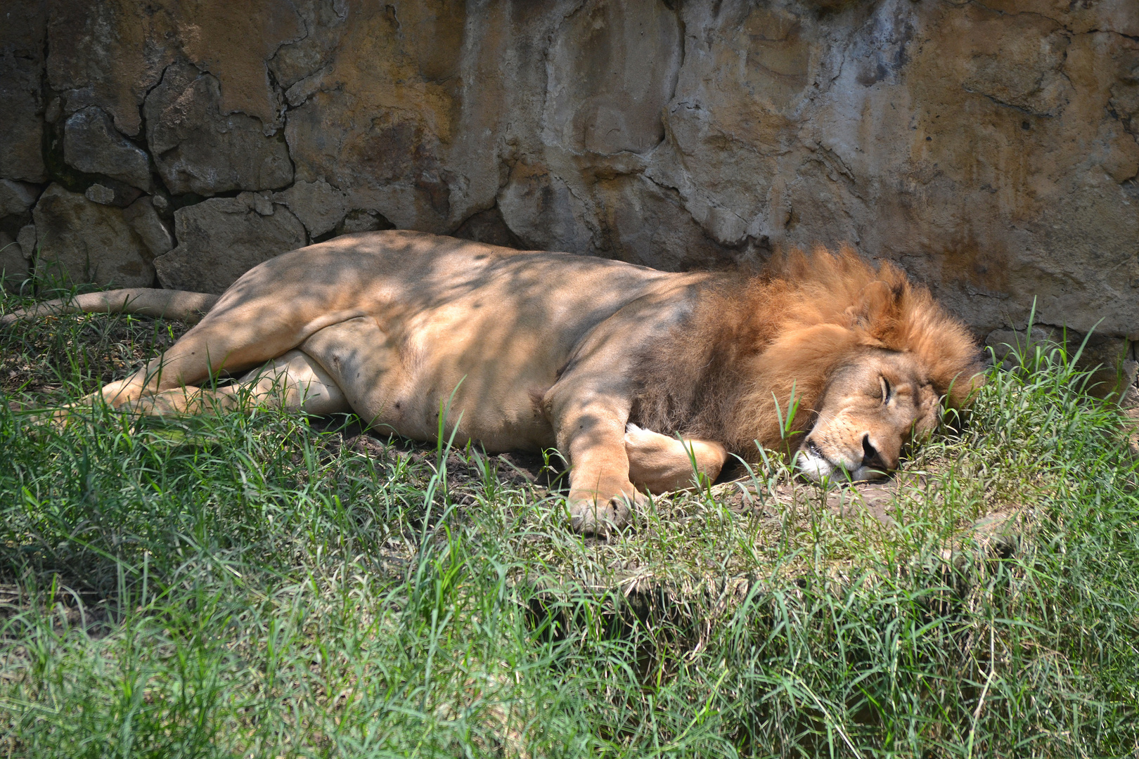 DSC_0657descanso