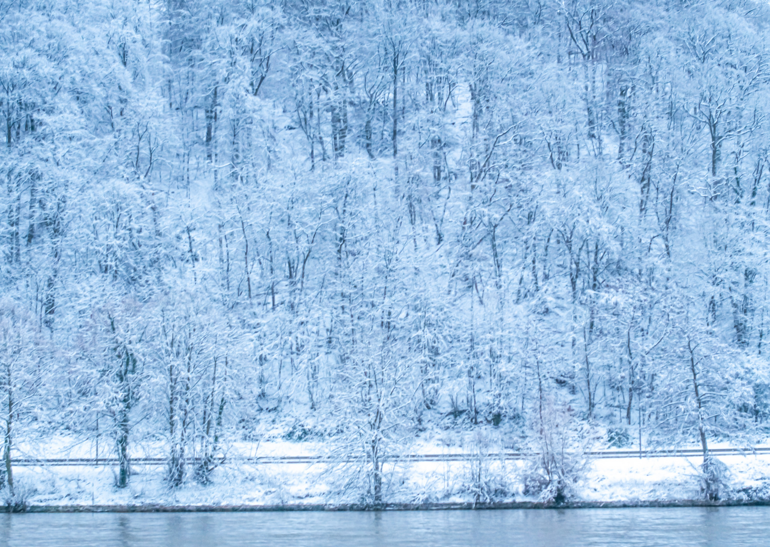 DSC_0675 Verschneiter Wald