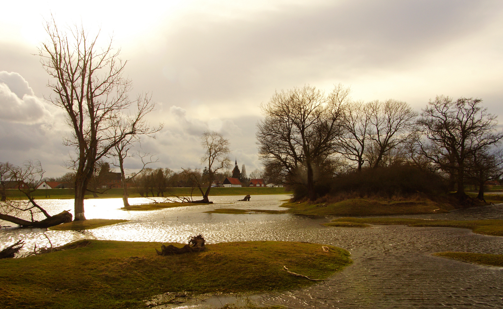 DSC07097-2-Beuster_Elbe-web