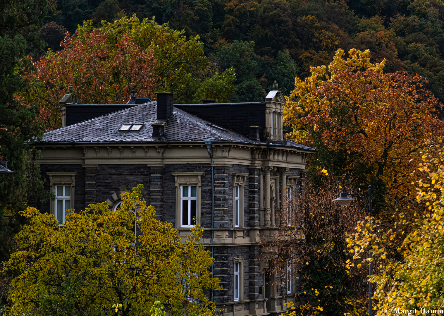 DSC_0798 Herbstbild 2