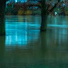 DSC_0924-2-2 Neubearbeitung  Hochwasser