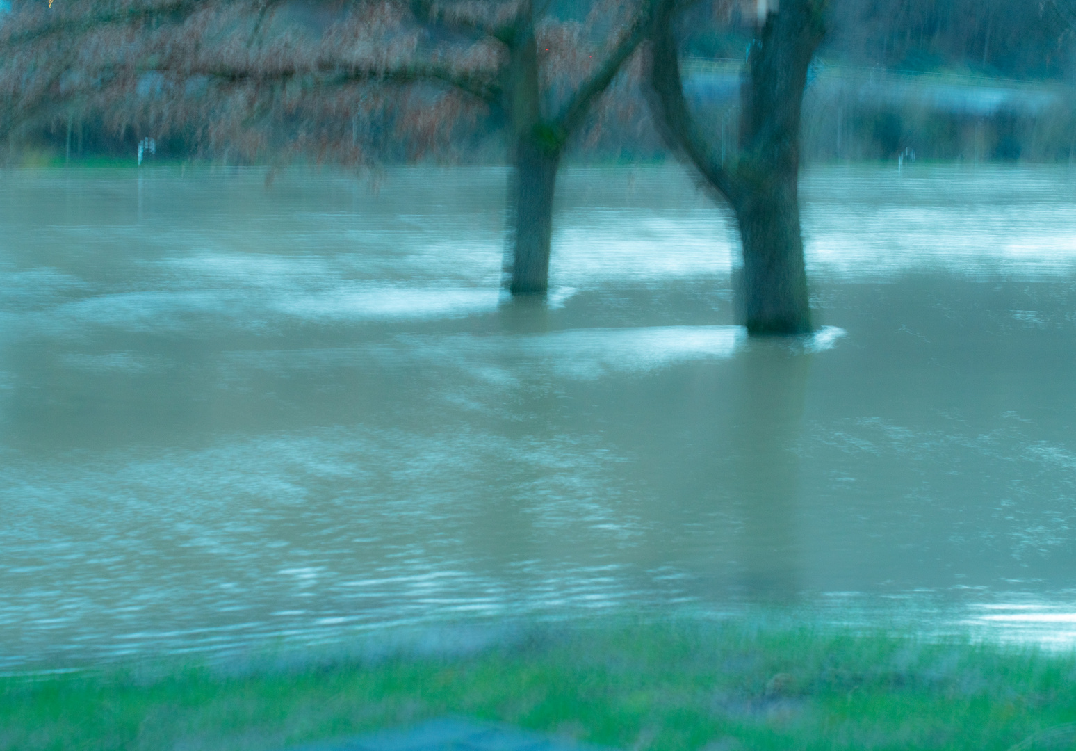 DSC_0928 Bäume unter Wasser