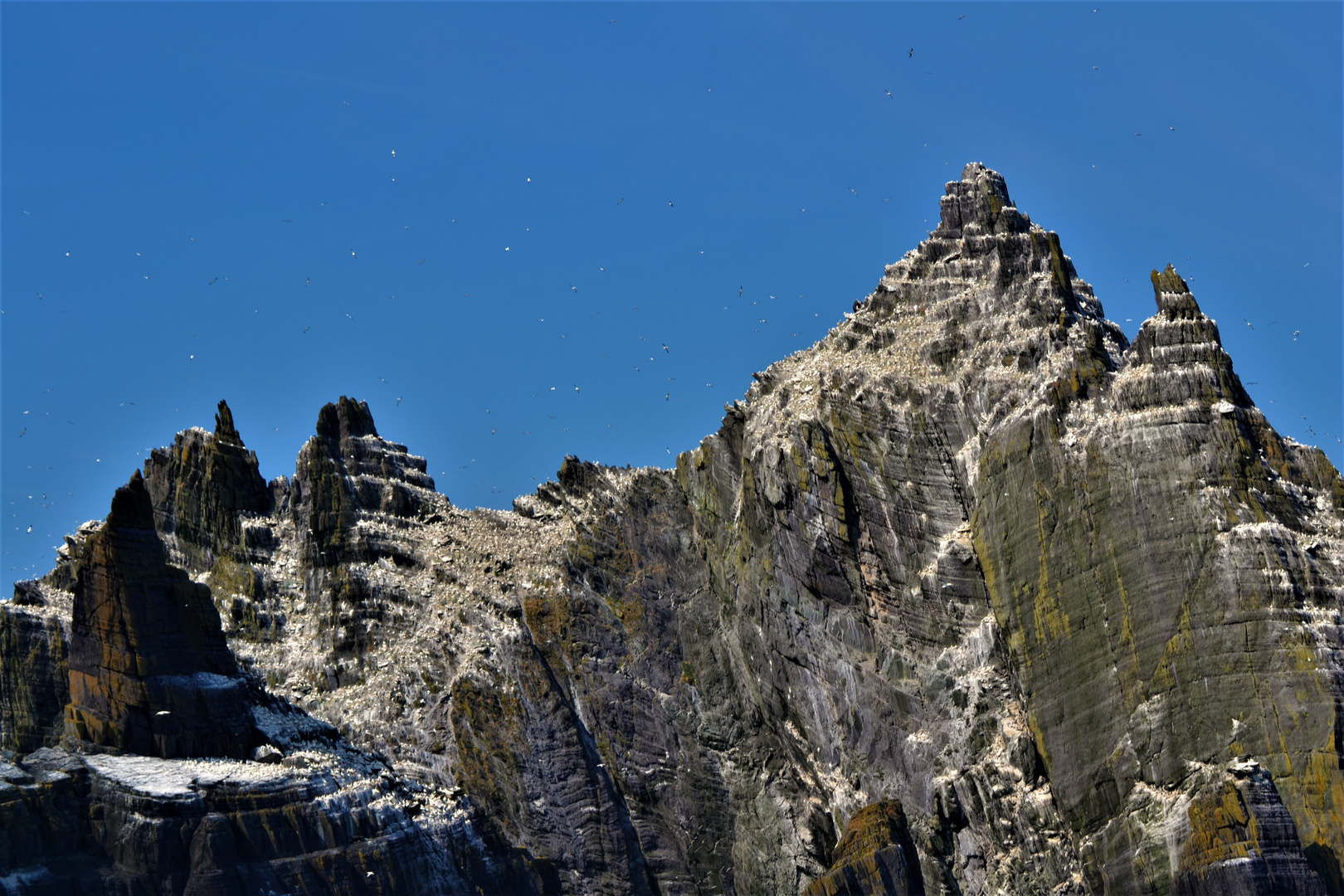 DSC_0936 Skelligs Island 1