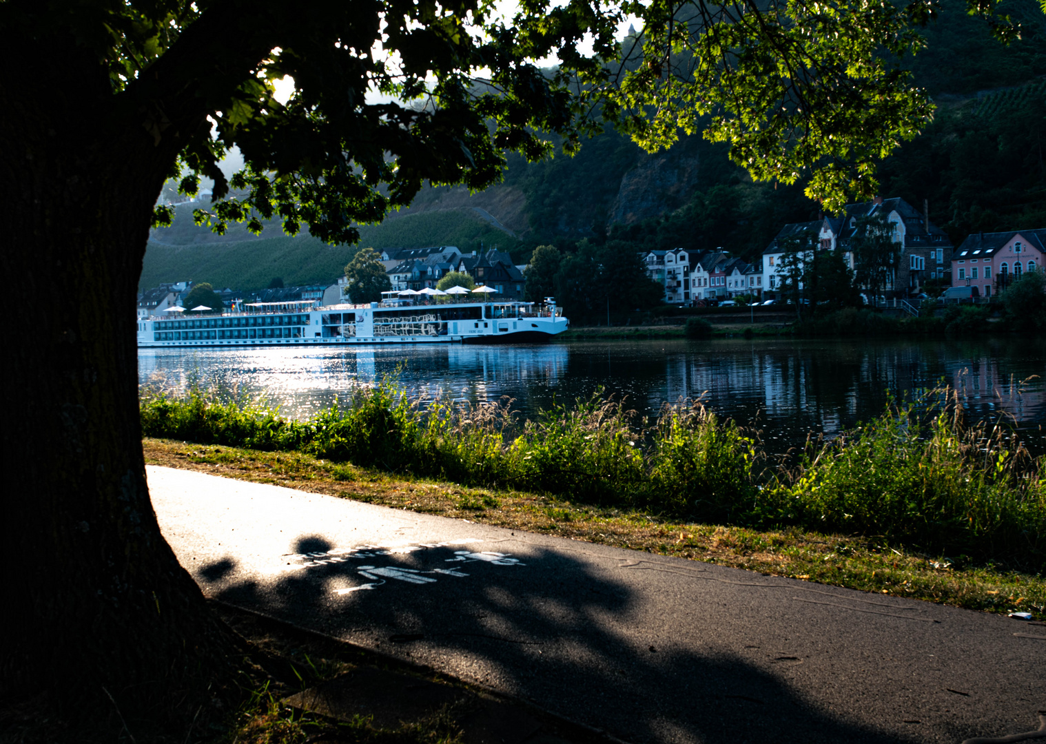 DSC_0953 Schiff auf der Mosel am frühen Morgen