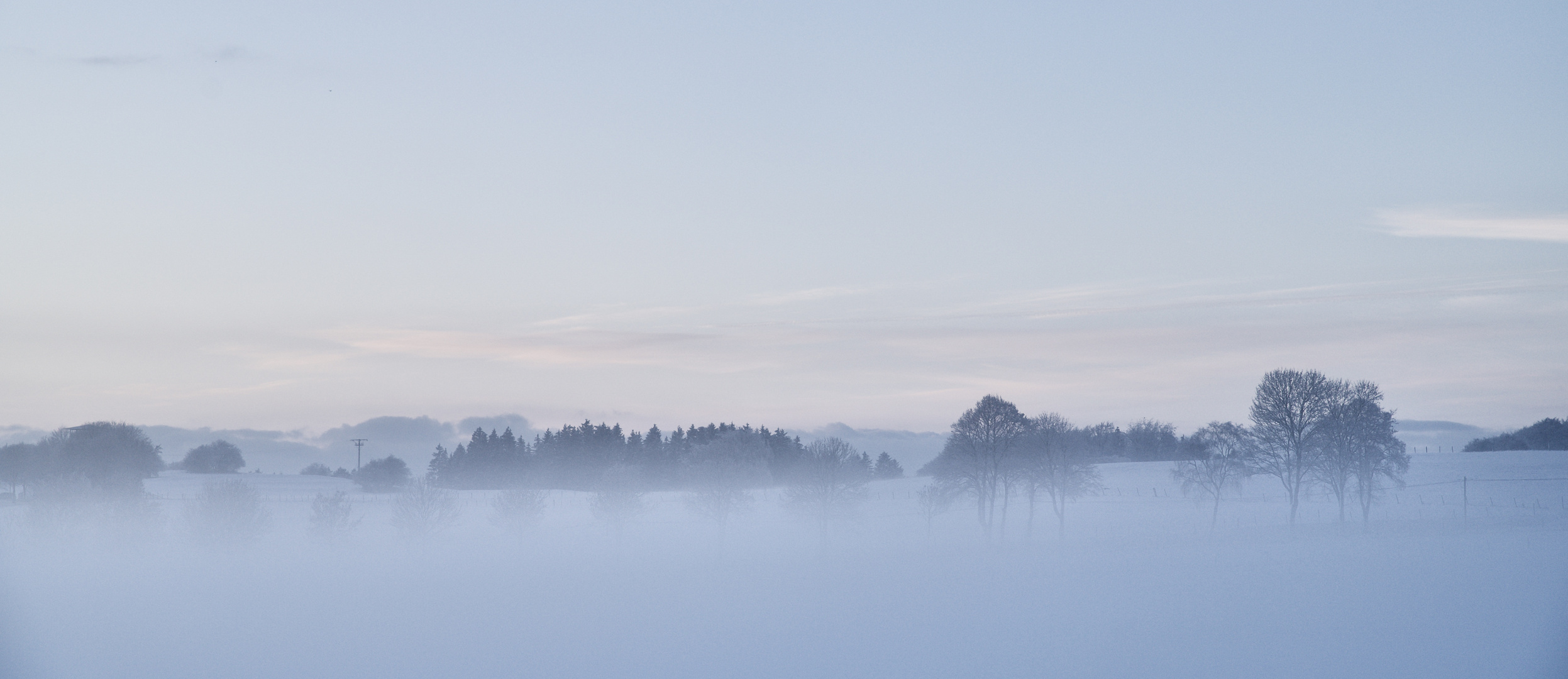 DSC_1048 Winter in der Eifel (Germany)