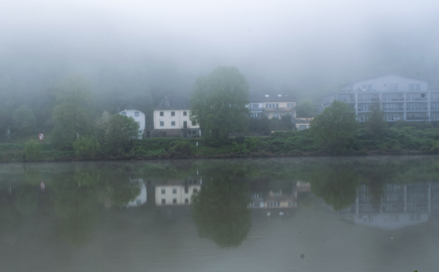 DSC_1313 Nebel am Morgen