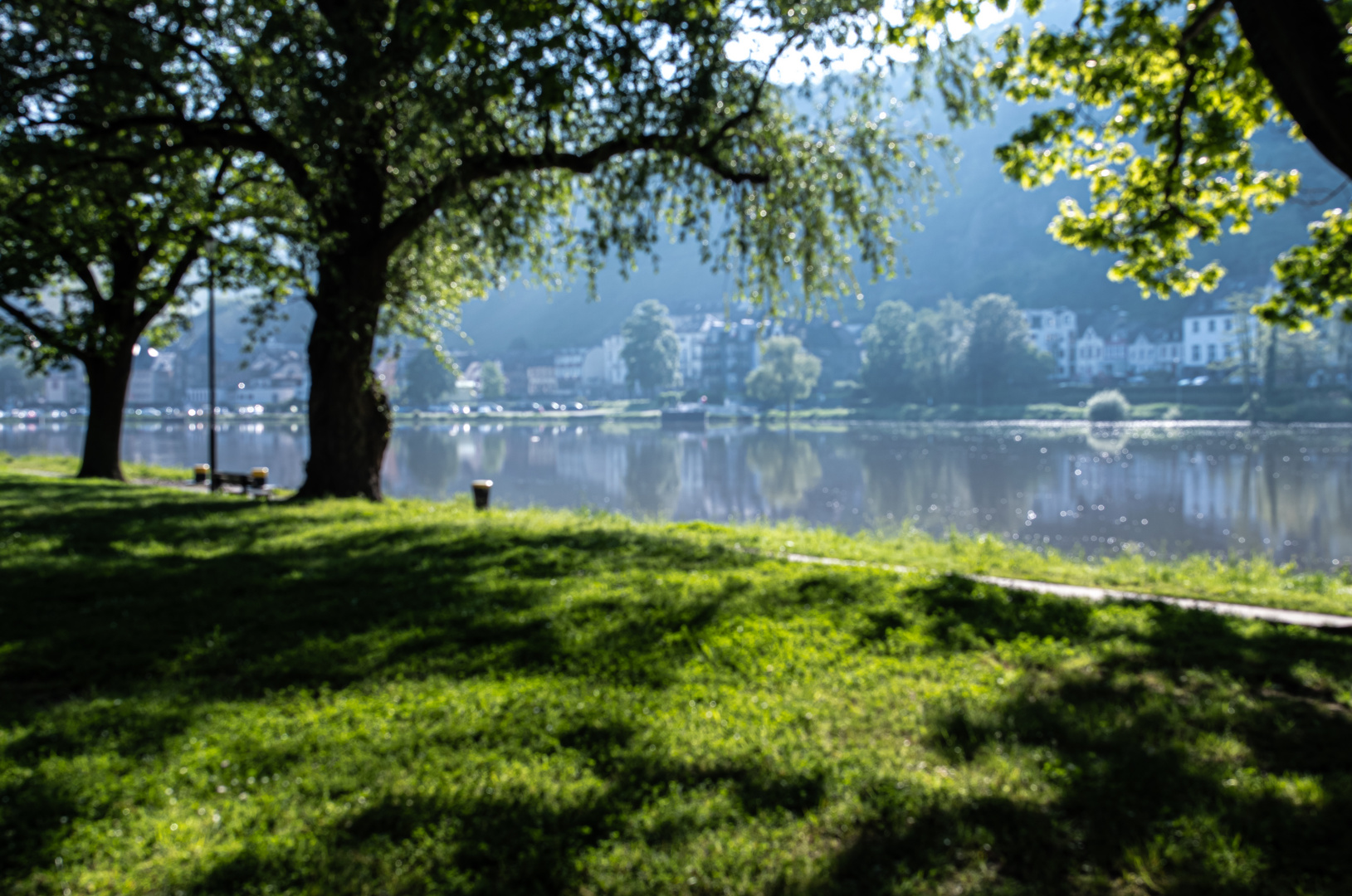 DSC_1442-2 Morgenstimmung am Fluss