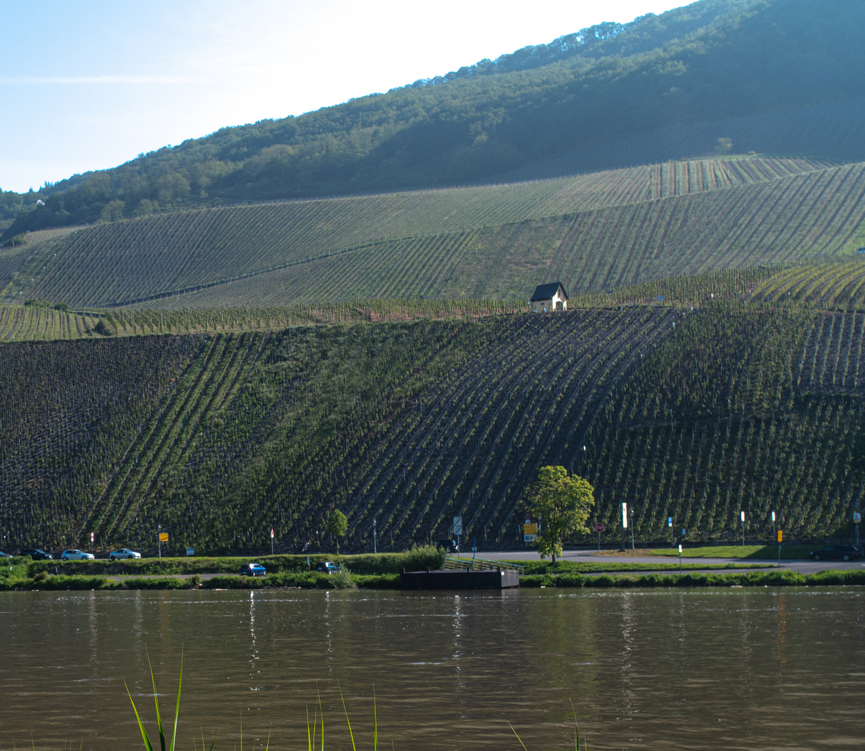 DSC_1445-2-2 Fluss mit Weinbergen 