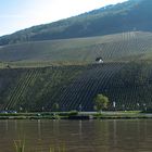 DSC_1445-2-2 Fluss mit Weinbergen 