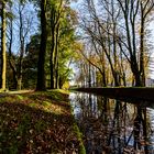 DSC_1718-Herbst-2