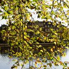 DSC_1820-Herbst-3