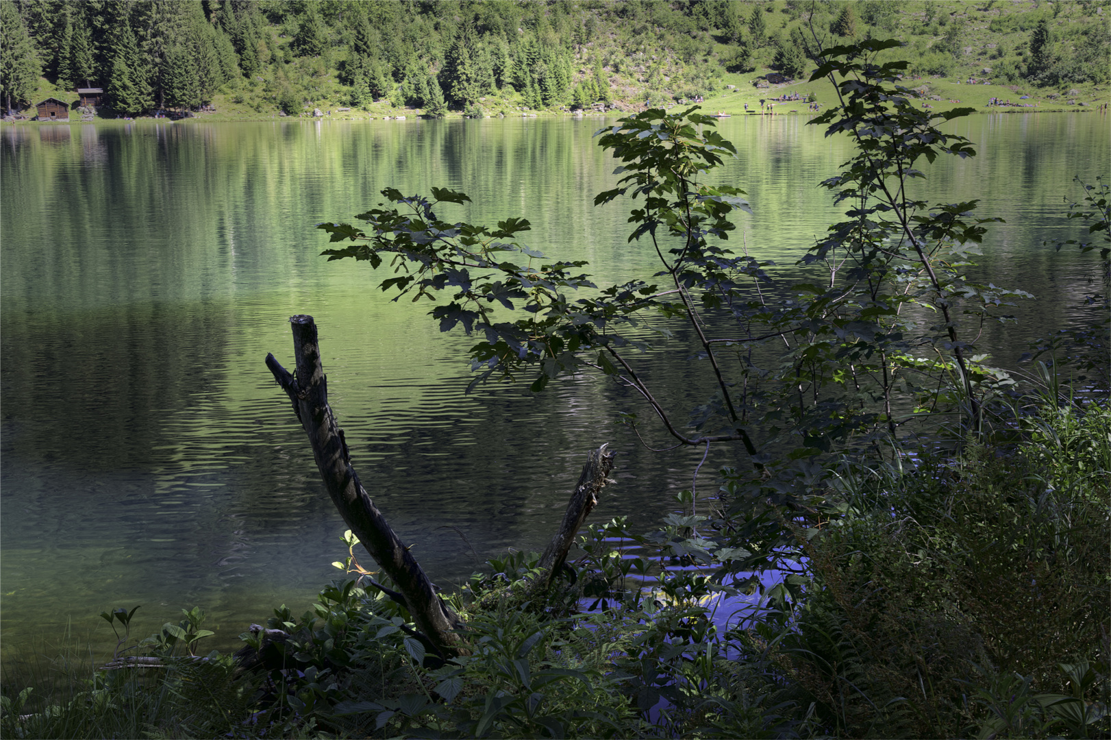 _DSC2302_AFP32:  Maderanertal, Golzernsee