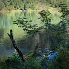 _DSC2302_AFP32:  Maderanertal, Golzernsee