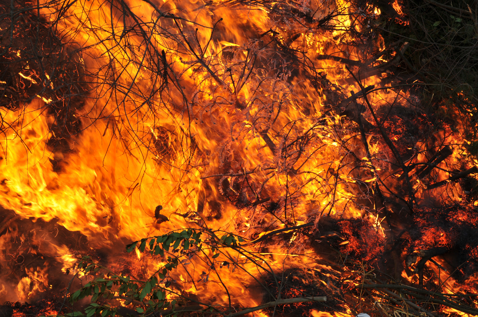 DSC_2407 Osterfeuer