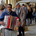 DSC_2457 Arezzo - Musicista ambulante