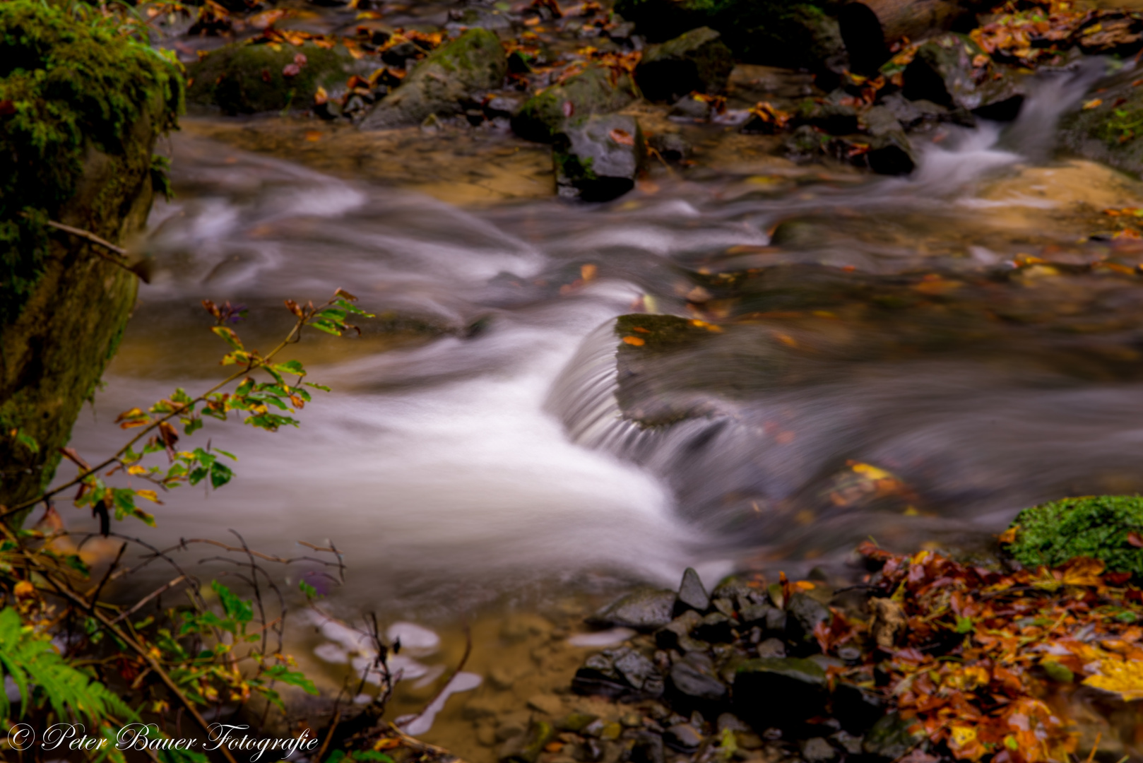 DSC_3413-2 - Wasser - Lebensenergie